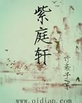 紫金矿业今日股价